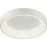 Потолочный светильник ODEON LIGHT L-VISION SOLE 4062/50CL