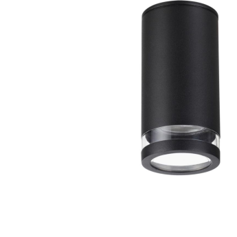 Уличный потолочный светильник ODEON LIGHT MOTTO 6605/1C